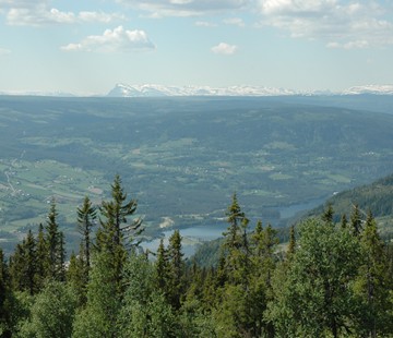 Valaknatten
