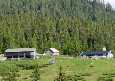 Sommerens Stølsvandring